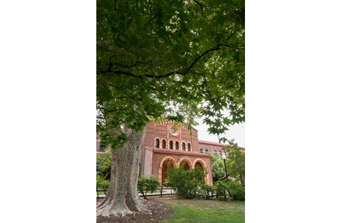 American Language and Culture Institute (ALCAI) – CSU Chico